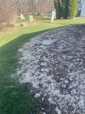 Spring Cleaning