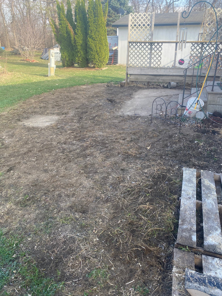 Spring Cleaning