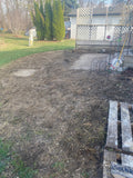 Spring Cleaning